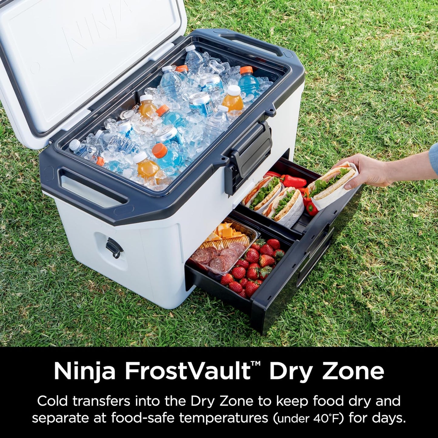 Premium Portable Cooler