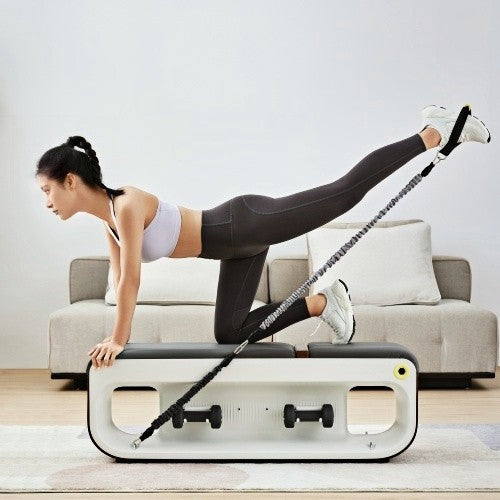 Talent Smart Fitness Machine