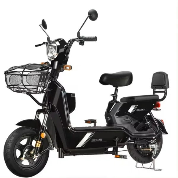 Electric Bicycle  | 70% OFF [LIMITED SALE]