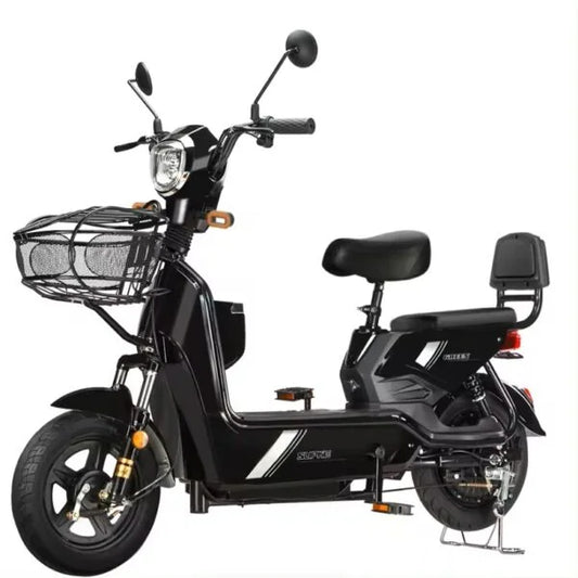 Electric Bicycle  | 70% OFF [LIMITED SALE]
