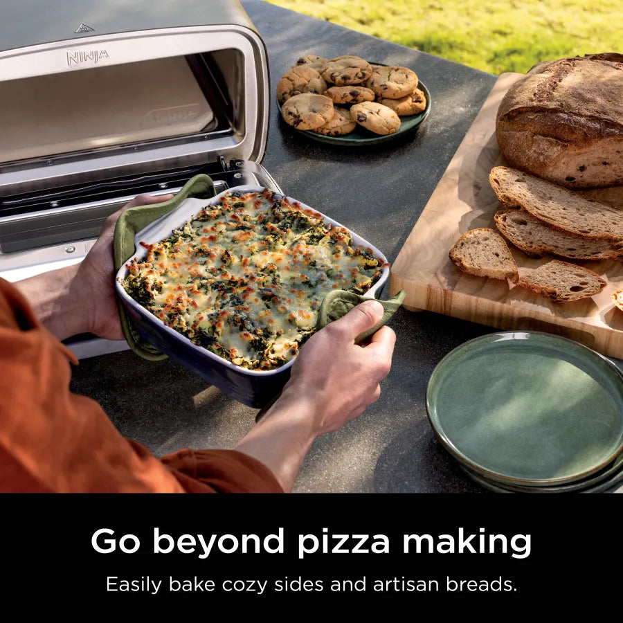 5-in-1 Portable Electric Pizza & Outdoor Oven