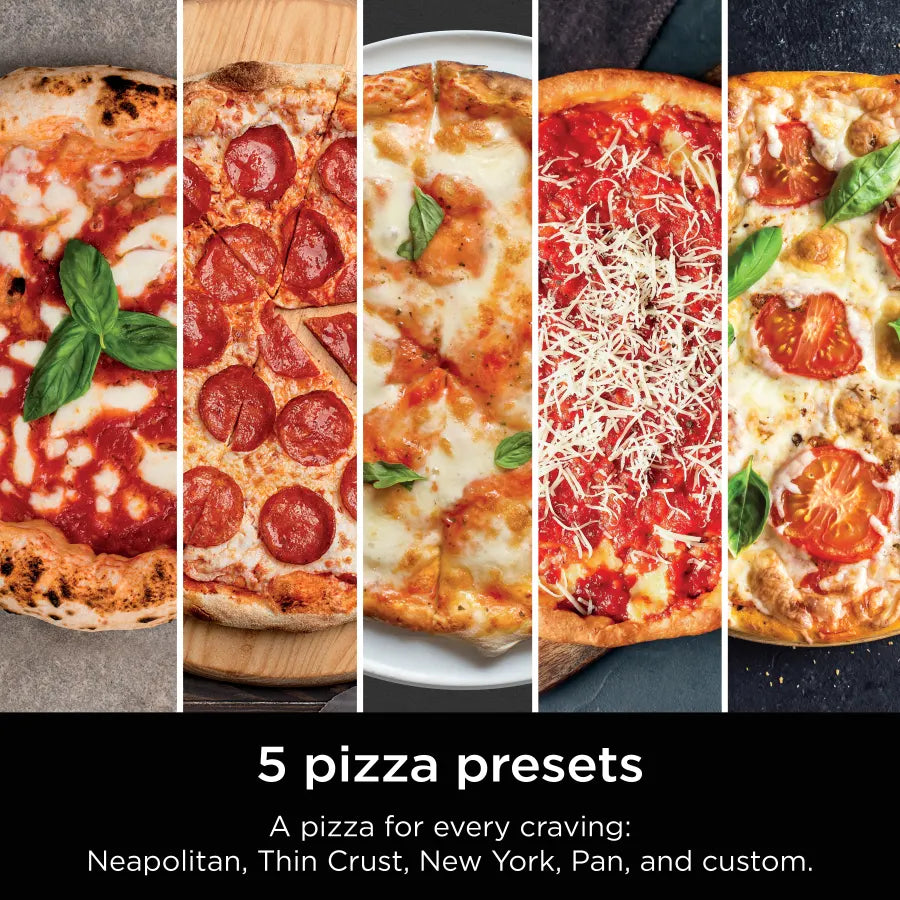 5-in-1 Portable Electric Pizza & Outdoor Oven