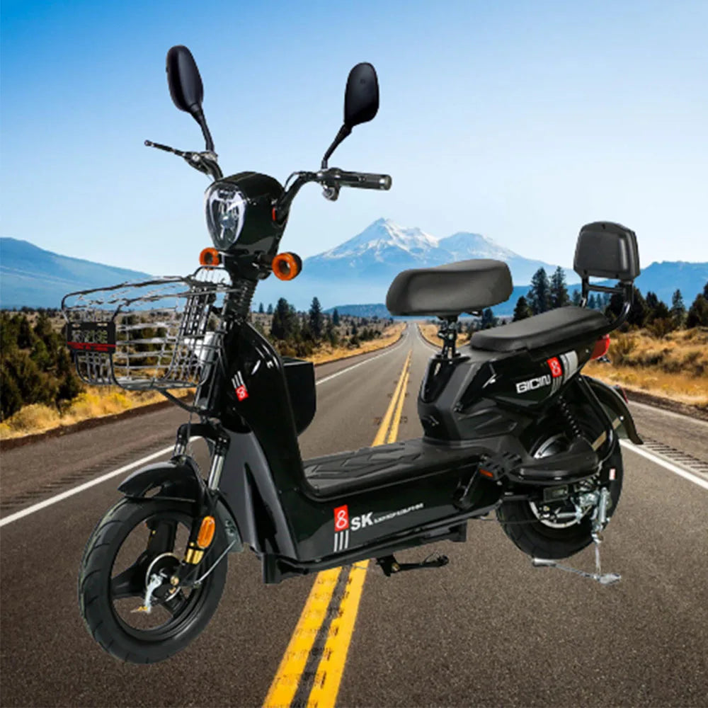 Electric Bicycle  | 70% OFF [LIMITED SALE]