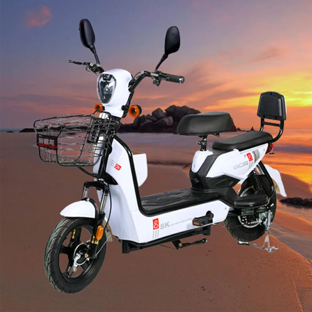 Electric Bicycle  | 70% OFF [LIMITED SALE]