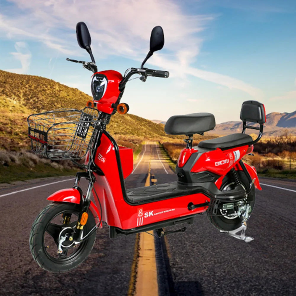 Electric Bicycle  | 70% OFF [LIMITED SALE]
